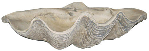  Cast Cement Clam Sea Shell Sculpture
