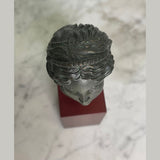 Pocket Art Head of Venus Aphrodite with Earring Greek Goddess Miniature Bust Statue ROM02