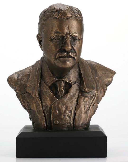 Theodore Roosevelt American President Bust, Assorted Sizes - Museumize.com