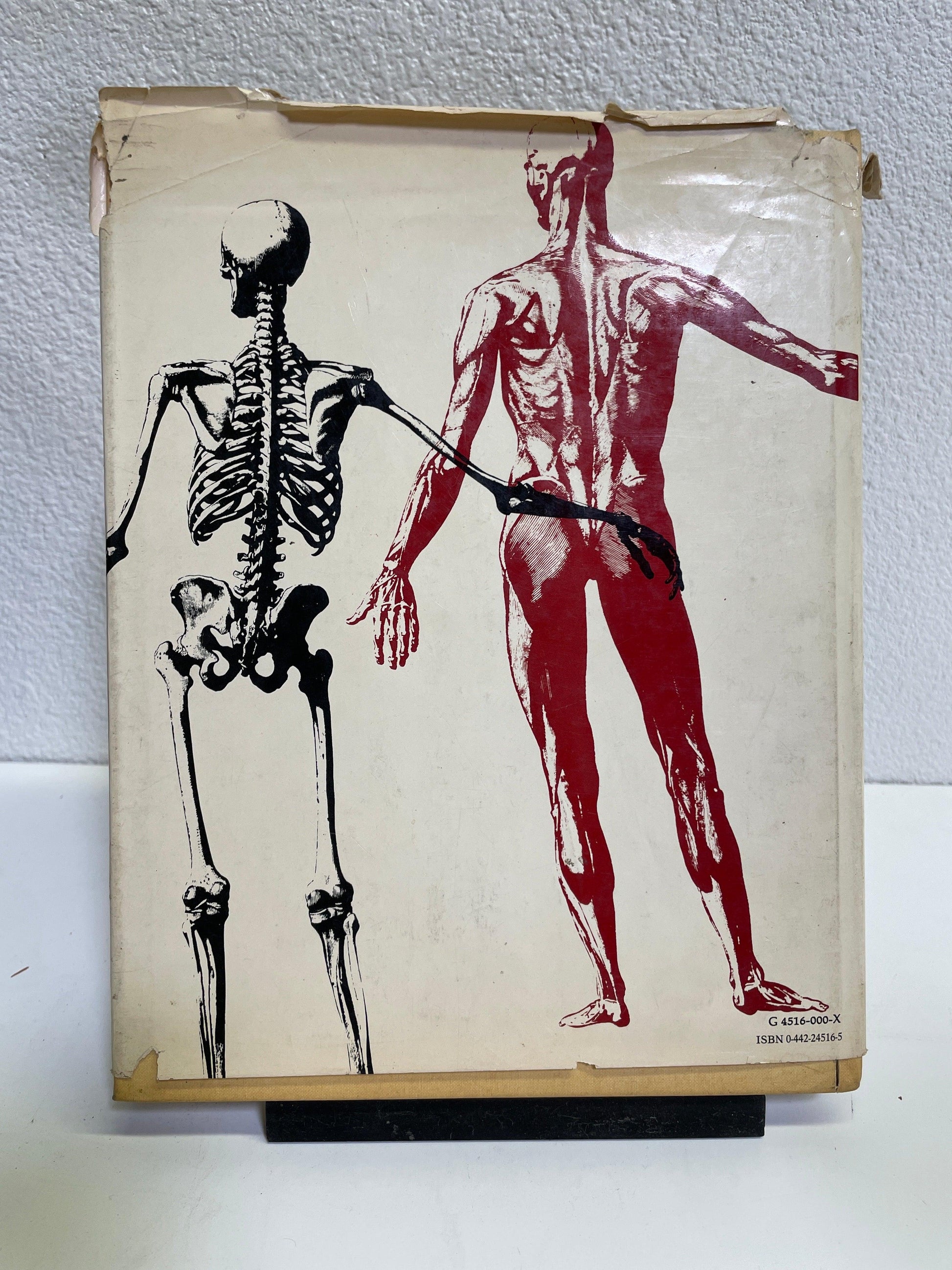 How to Book - Human Anatomy & Figure Drawing by Jack Kramer attic no returns - Museumize.com