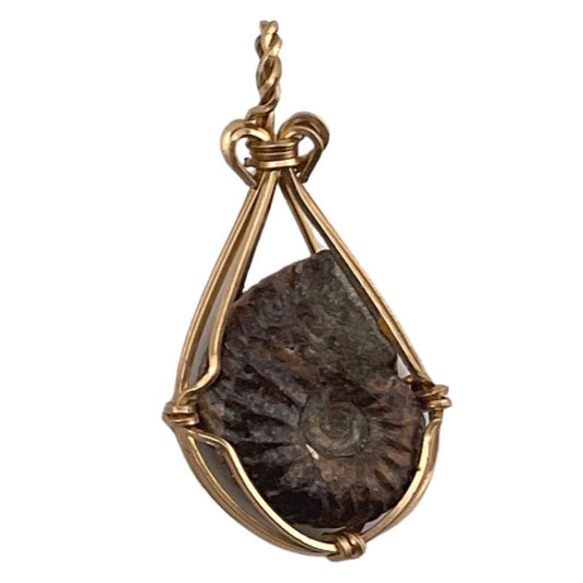 Boheme Fossil Ammonite Pendant Handmade Jewelry Making Boho 1.5L attic - Museumize.com