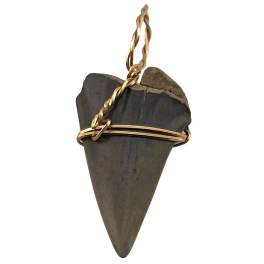 Boheme Tooth Fossil Pendant Handmade Jewelry Making Boho 2L attic - Museumize.com