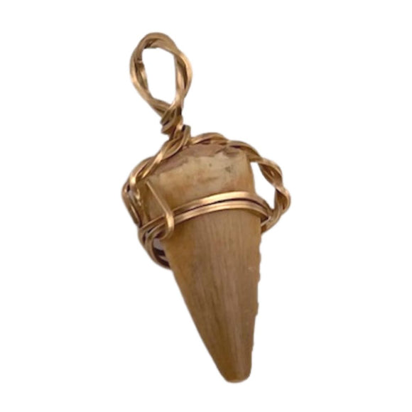 Spinosaurus Tooth Pendant // Ver. 8 - A. W. Meteorites - Touch of Modern