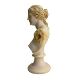 Venus de Milo Aphrodite of Melos Bust Bookshelf Statue Ancient Greek 9H