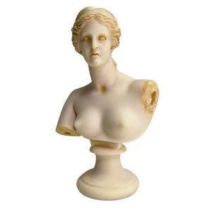 Venus de Milo Aphrodite of Melos Bust Bookshelf Statue Ancient Greek 9H