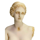 Venus de Milo Aphrodite of Melos Bust Bookshelf Statue Ancient Greek 9H