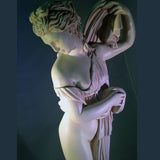 Aphrodite Venus Kallipygos: Graceful Pose of the Goddess – 15.5 in Classical Greek Statue