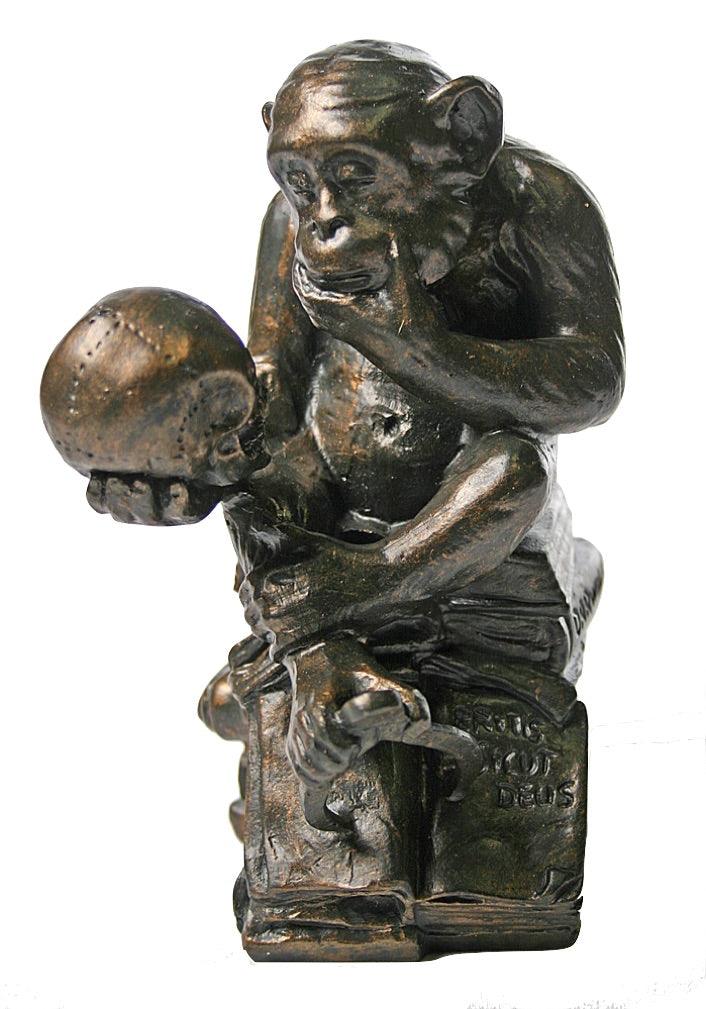 Monkey with Skull (1892-93) by Rheinhold, Parastone 6H - Museumize.com