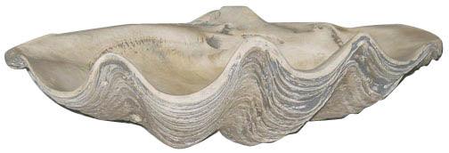 Clam Shell Garden Art Statue Lifelike Cement 22.5W - Museumize.com