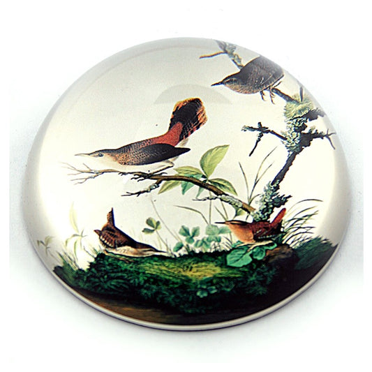 Birds Winter Wrens in Tree Glass Paperweight by J.J Audubon 3W