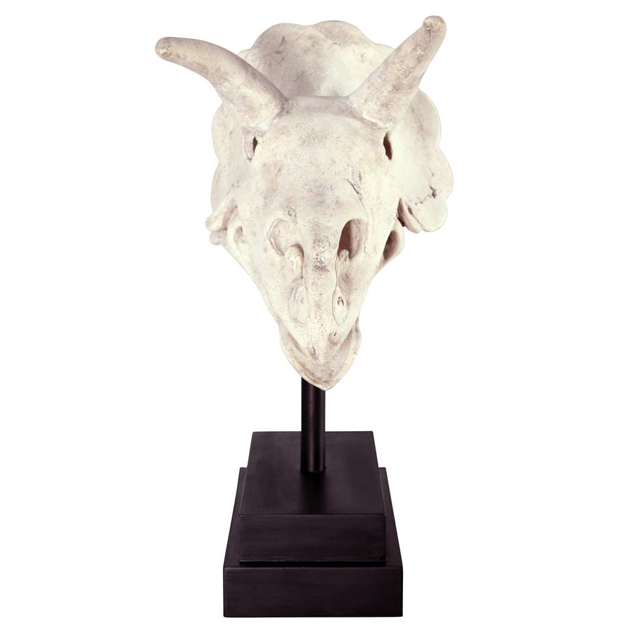 Triceratops Dinosaur Skull on Mount Display Sculpture 23.5H - Museumize.com