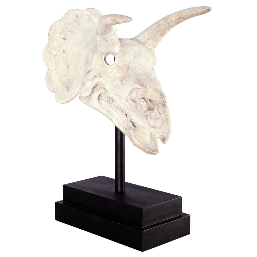 Triceratops Dinosaur Skull on Mount Display Sculpture 23.5H - Museumize.com