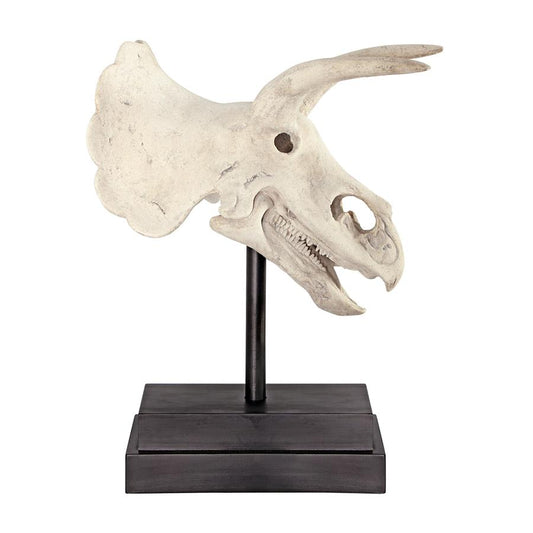 Triceratops Dinosaur Skull on Mount Display Sculpture 23.5H - Museumize.com