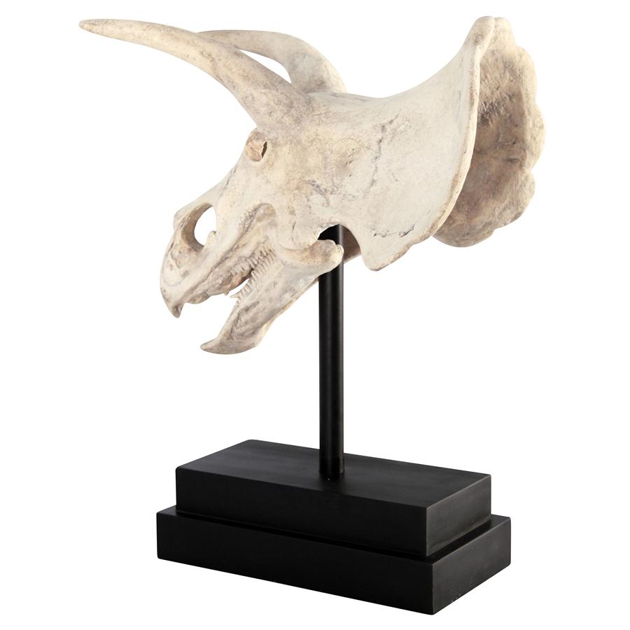 Triceratops Dinosaur Skull on Mount Display Sculpture 23.5H - Museumize.com