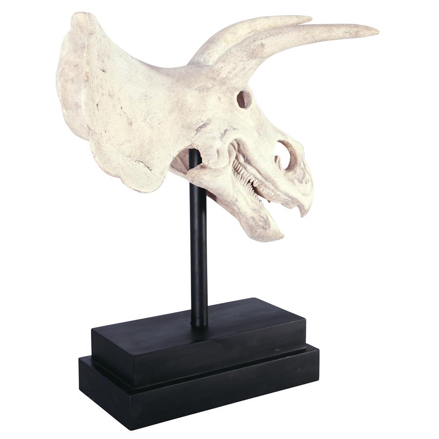 Triceratops Dinosaur Skull on Mount Display Sculpture 23.5H - Museumize.com